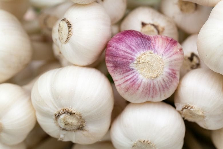 Here's why you should sleep with cloves of garlic under your pillow Health insurance