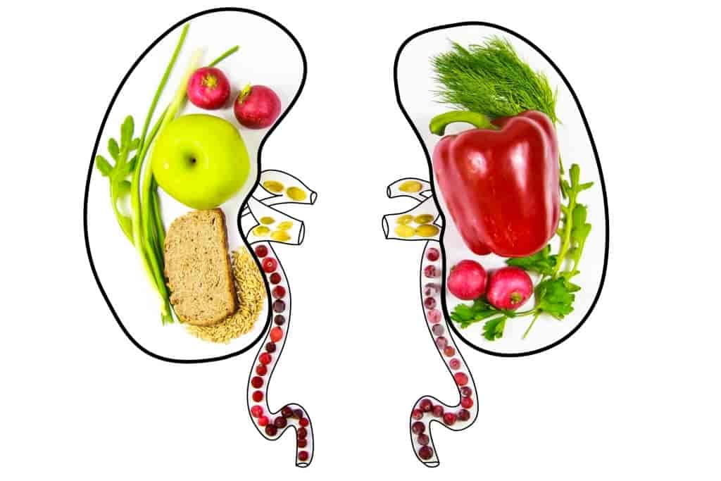 Foods Programs for kidney in health insurance marketplace
